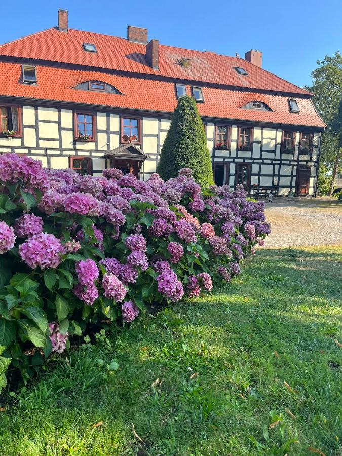 Gosciniec Zamkowy Otel Ujście-Darłowskie Dış mekan fotoğraf